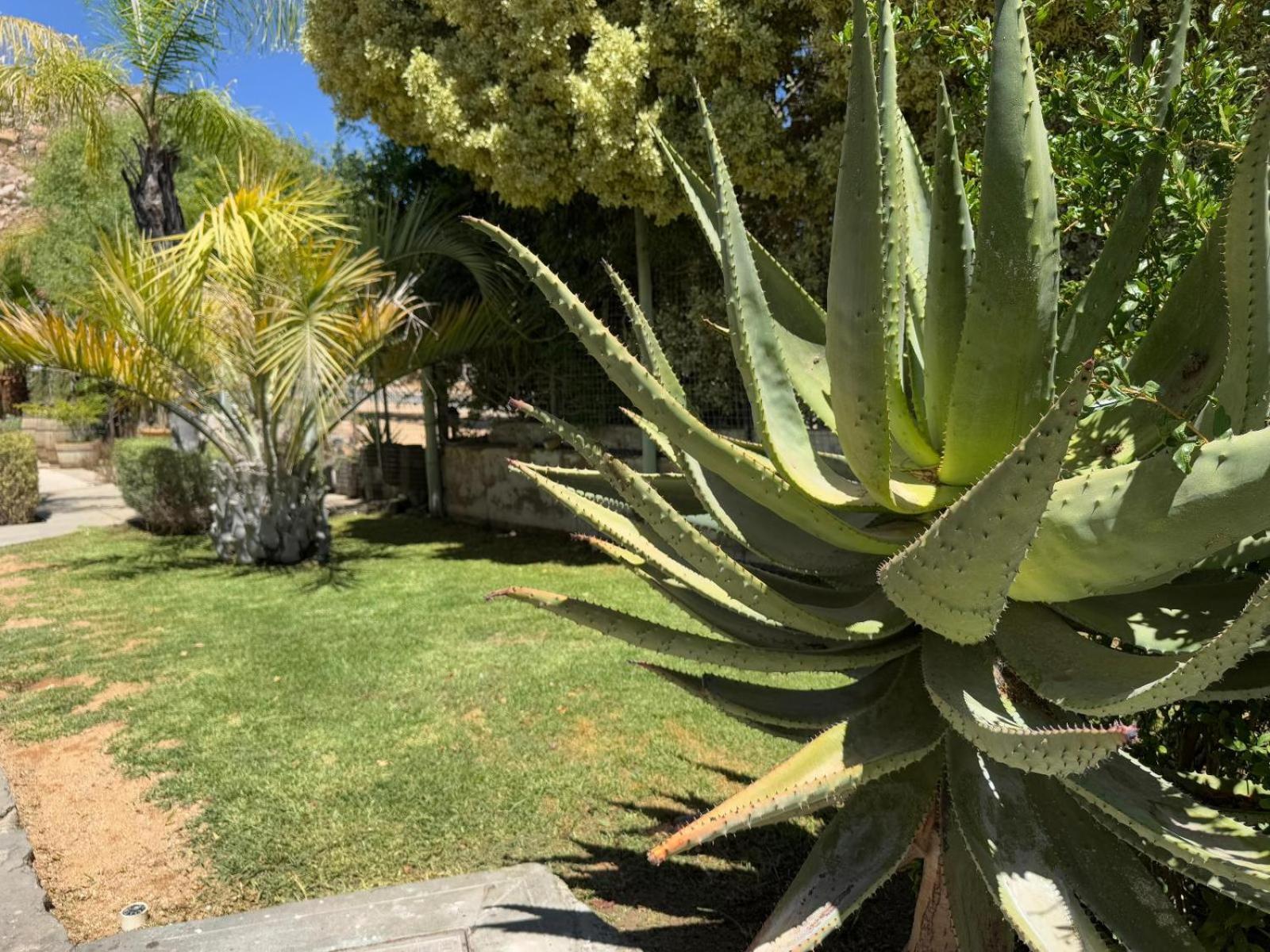 Herb Garden Restaurant & Rooms Springbok Exterior foto